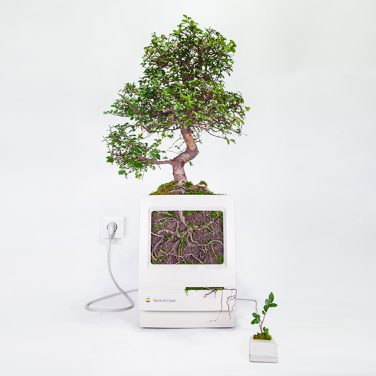 Vecchi computer Apple diventano ottimi vasi per le vostre piante
